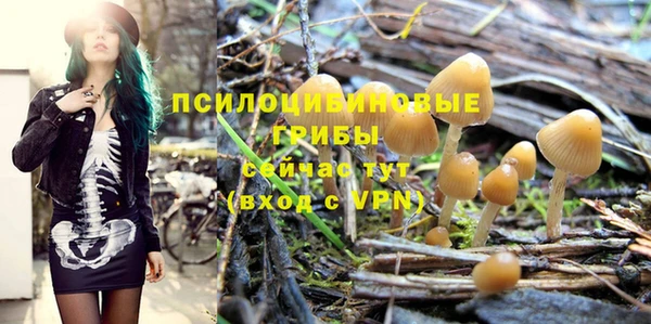 Альфа ПВП Володарск
