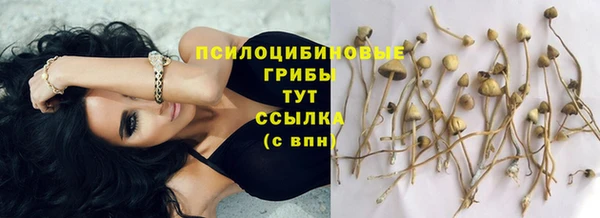 Альфа ПВП Володарск